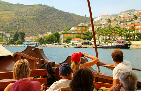 From Porto: Small Group Douro Valley Wine Tour