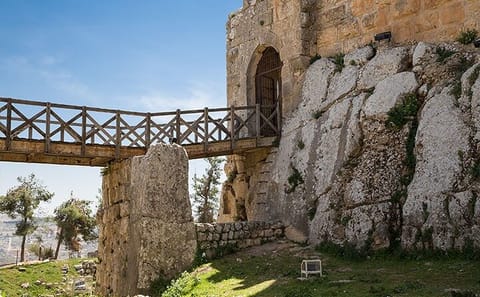 Private Day Tour to Jerash, Ajloun, and Umm Qais from Dead Sea