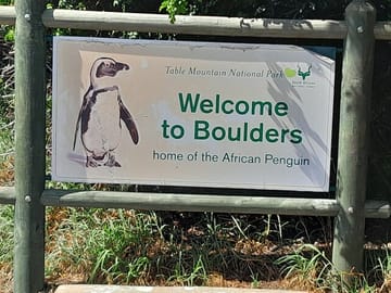 Half Day Cultural and Coastal Tour of Cape Town Highlights