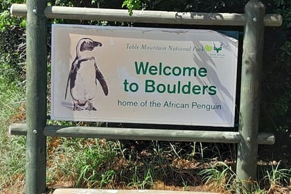 Half Day Penguins Boulders Beach and Cape Point Small Group Tour