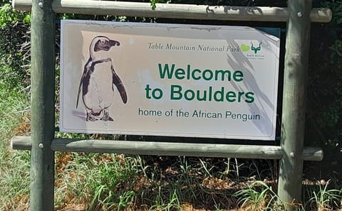 Half Day Cultural and Coastal Tour of Cape Town Highlights