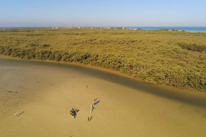 Kayak Experience in the Mangroves of Holbox Island photo 2