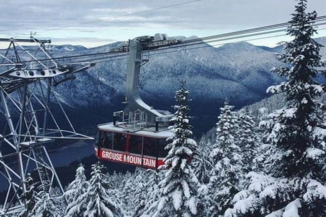 Vancouver Perfect Day Tour Grouse Mountain`& Capilano Suspention Bridge Private