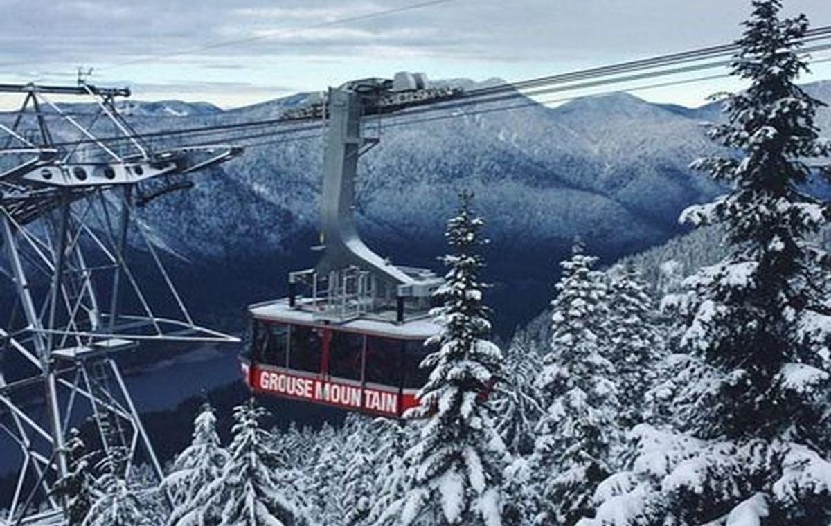 Vancouver Perfect Day Tour Grouse Mountain`& Capilano Suspention Bridge Private