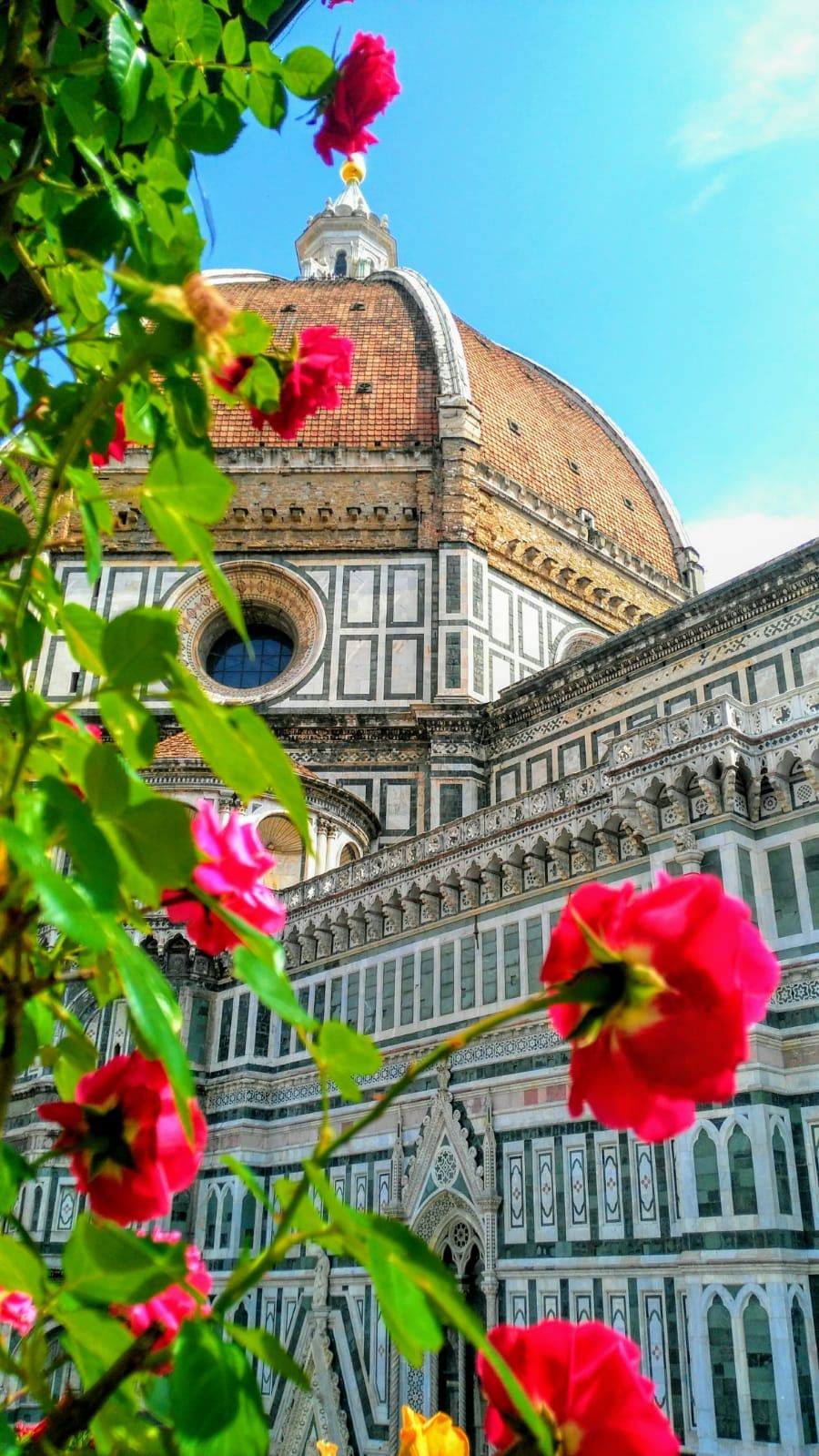 Close-up of the Brunelleschi's DOme with roses on the foreground
