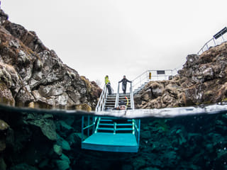 Reykjavík Whales & Diving, photo 9