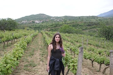 Wine and Food Tour of Berat's Local Wineries