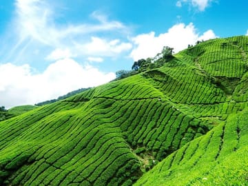 6 Days Sri Lanka Private Heritage Tour
