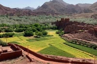 3 Days Fez to Marrakech via Sahara 9