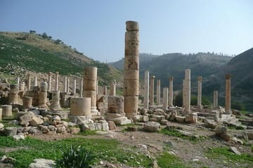 Private Half-Day Pella Tour from Amman