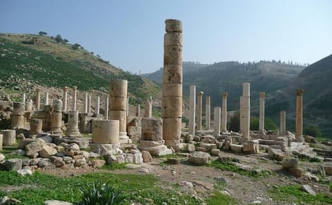 Private Half-Day Tour of Pella Ruins from Amman