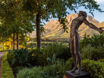 Private Wine Tour in Stellenbosch from Cape Town