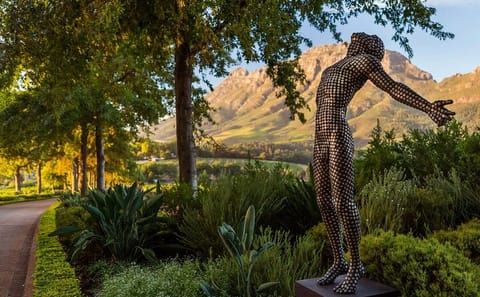 Private Wine Tour in Stellenbosch from Cape Town
