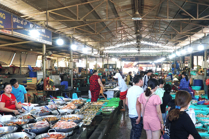 Private Eco-Adventure to Can Gio Mangrove Forest and Local Life Full Day from Saigon