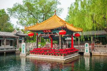 Jinan Day Tour of Baotu Spring, Daming Lake, and Museums