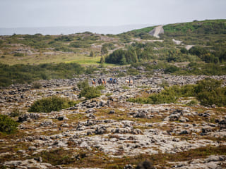 Lava Tour - Horseback Riding through the Lava Fields, photo 10
