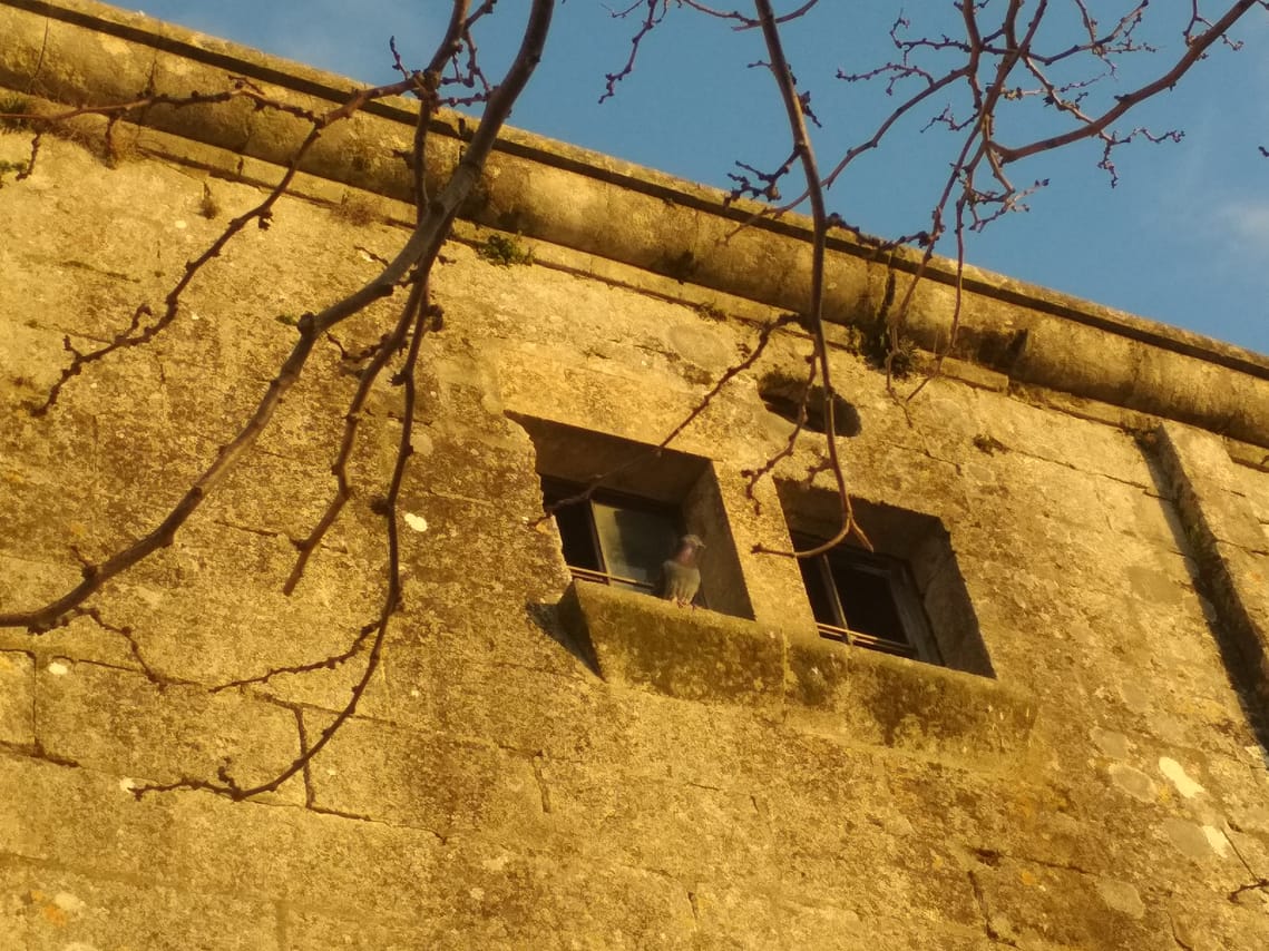 Arles et Les-Baux-de-Provence...  the splendor of Provence lifestyle 8