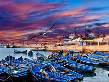Day Trip to Essaouira from Marrakech with Free Time