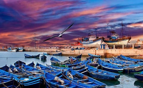 Day Trip to Essaouira from Marrakech with Free Time