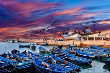 Day Trip to Essaouira from Marrakech with Free Time
