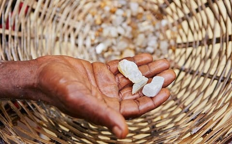Moonstone Mining Tour in Meetiyagoda, Sri Lanka