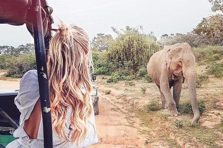 Glamourous Sri Lanka 7 Days Tour