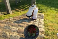 Photo Hunting Game in Vilnius 4