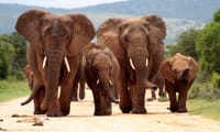 Cape Town, Kruger and Garden Route, Self-Drive 9