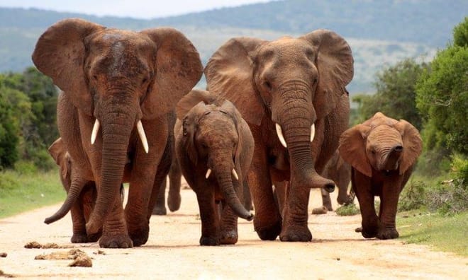 Cape Town, Kruger and Garden Route, Self-Drive 9