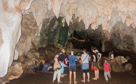 Zanzibar Island Cultural Tour with Beach Relaxation