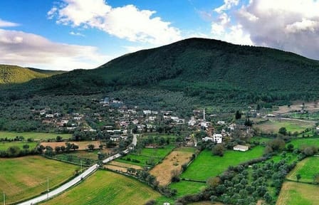 Private Carpet Weaving Tour in Pınarlıbelen, Bodrum