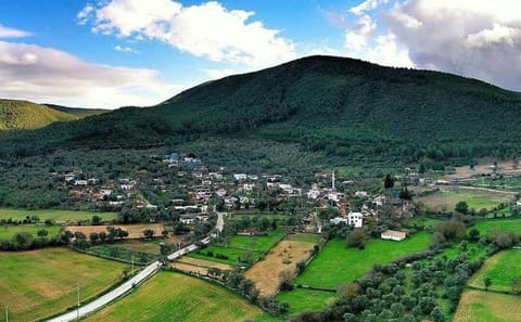 Private Carpet Weaving Tour in Pınarlıbelen, Bodrum