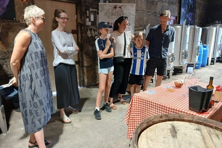 DOURO VALLEY: Premium Wine Tour, Lunch at Winery & Private Cruise