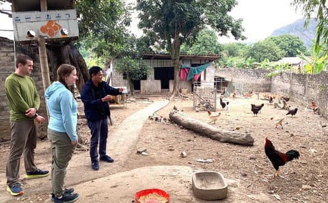 Ninh Binh Excursion Luxury Day Trip Group of 09 By Limousine