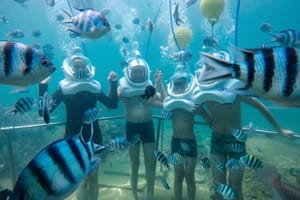 Cham Island Sea Trek and Snorkeling by Speedboat