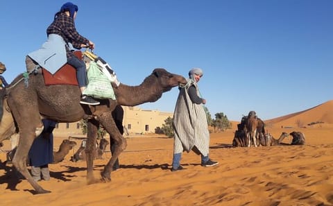 12-Day Cultural and Adventure Tour of Morocco from Casablanca