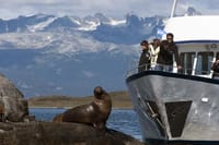 Beagle Channel and Sea Lions Island Catamaran Cruise 2