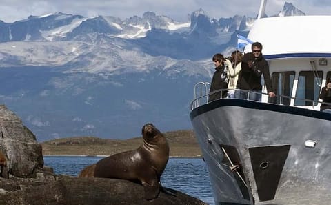 Catamaran Cruise to Sea Lions Island in Ushuaia