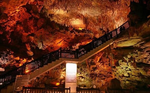 Alanya City Tour with Cable Car and Dimçay Boat Ride
