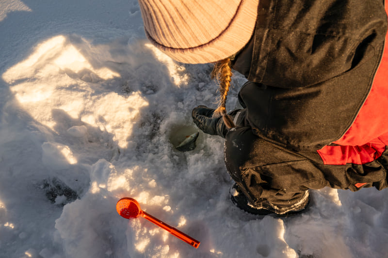 Catching fish on the ice