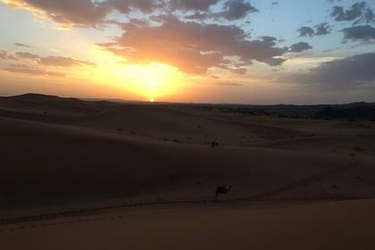 4 Days Tour From Marrakech To Fes Via Erg Chebbi Desert