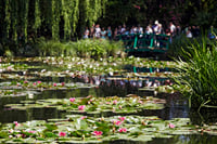 Private Full Day Tour of Giverny and Rouen from Le Havre - Shore Excursions 7