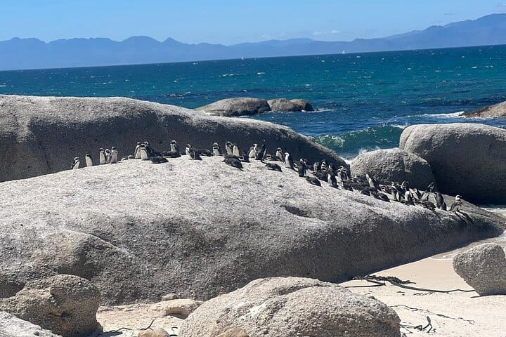 Full-Day Cape of Good Hope and Table Mountain with Penguins Tour