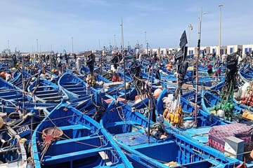 Private Full Day Trip to Essaouira from Marrakech