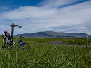 Reykjavík Whales & Viðey Island, photo 10