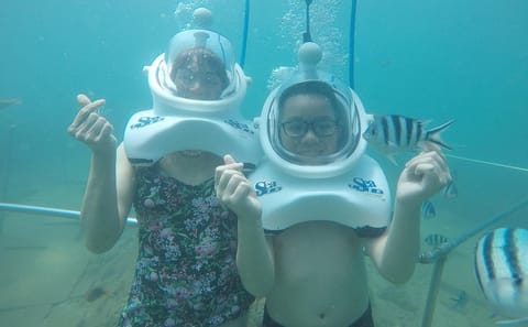 Snorkeling and Sea Trekking Adventure at Cham Island, Da Nang