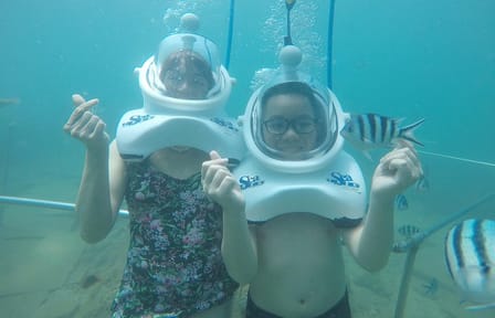 Snorkeling and Sea Trekking Adventure at Cham Island, Da Nang