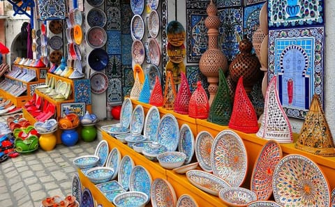 Private Cultural Tour of Hammamet and Nabeul from Tunis