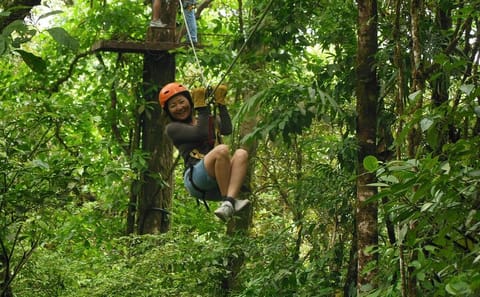 Canopy Zip Line Adventure at Hanging Bridges from San José