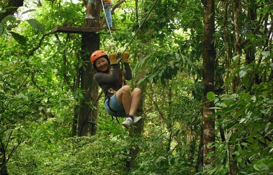 Canopy Tour in The Fabulous Hanging Bridges from San José